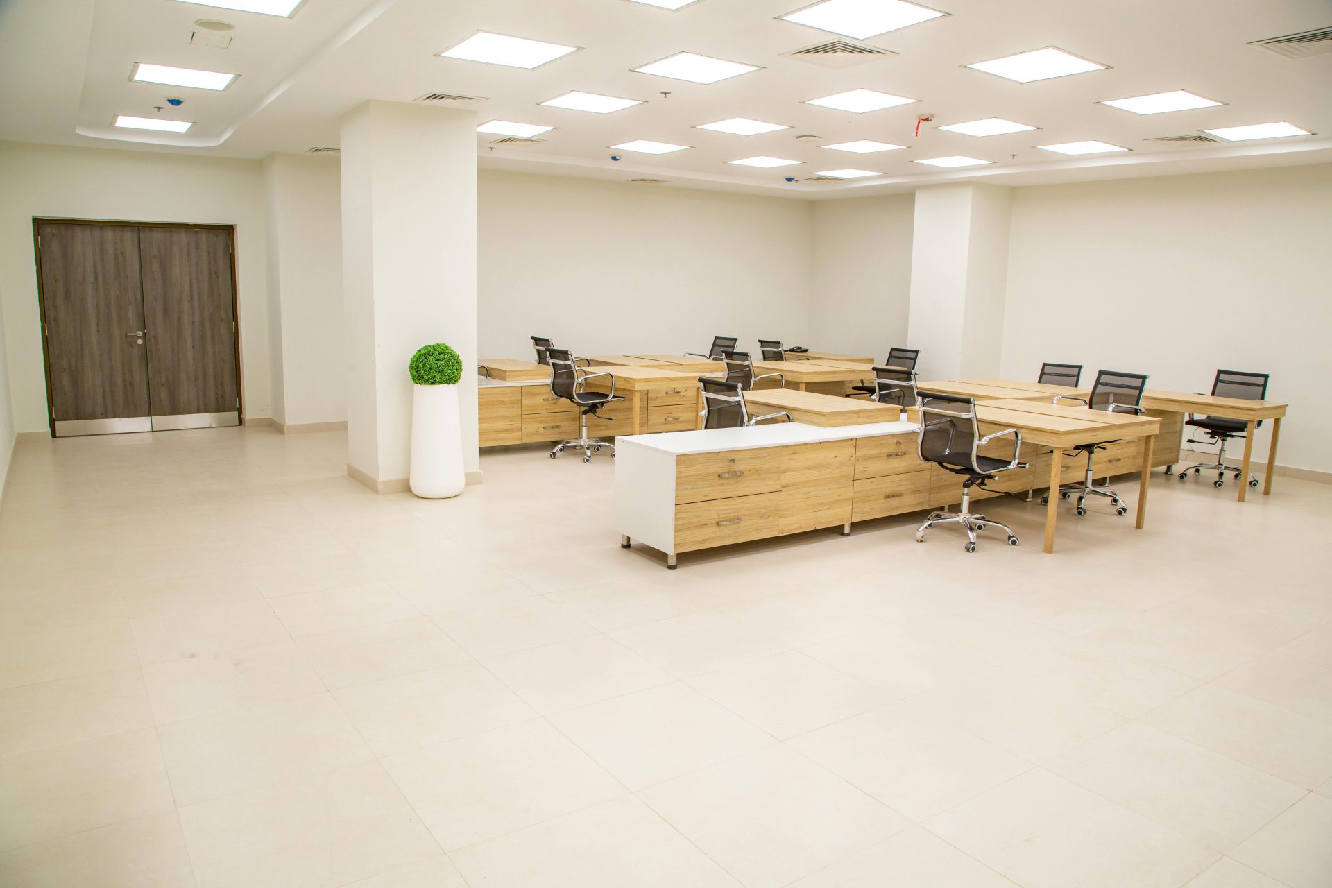 Spacious and bright modern office with wooden desks and ergonomic chairs, ideal for creative work environments.
